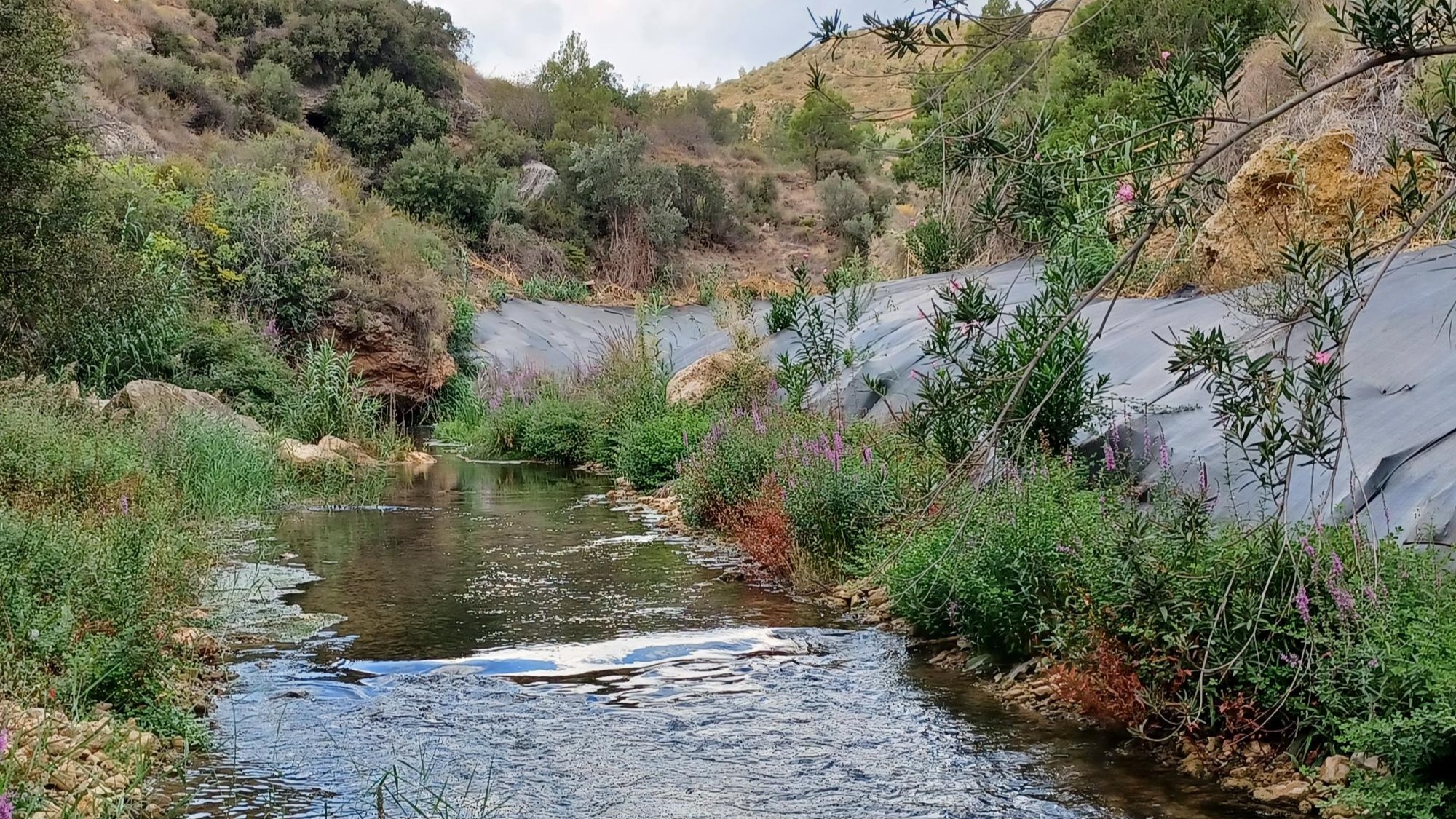 projar malla biodegradable|yryuryury|HORSOL-BIO